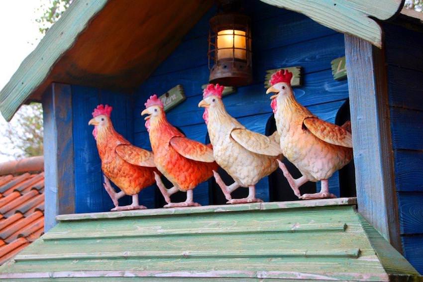 Farms chickens who sing and dance at Sundown Adventureland near Doncaster