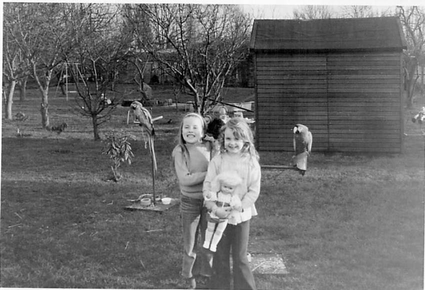 Early years with parrots at sundown adventureland