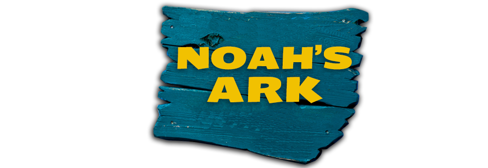 Noah's Ark Outdoor Play Area