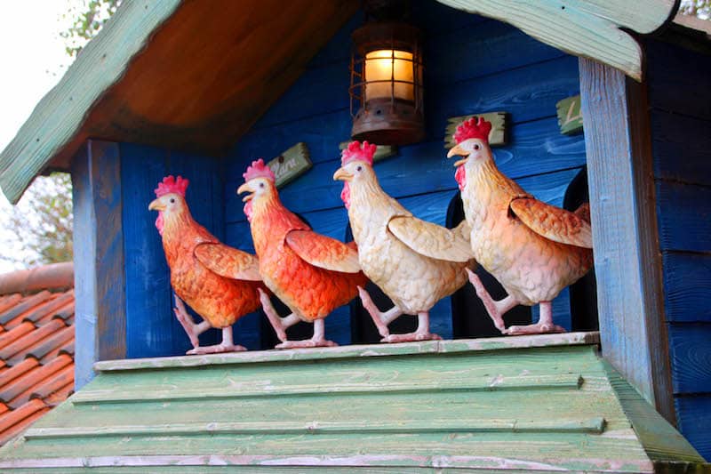 Question 3 How many chickens are dancing in their hen house at Sundown Advenureland
