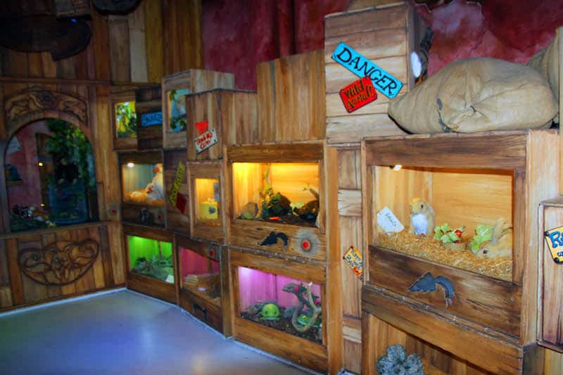 Question 5 at the Pet Shop in the marketplace there is Pet Shop - How many rabbits are for sale at Sundown Advenureland